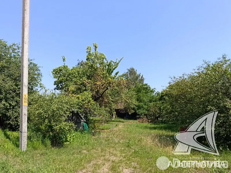 участок, Урожай ОАО Брестхлебопродукт, 
