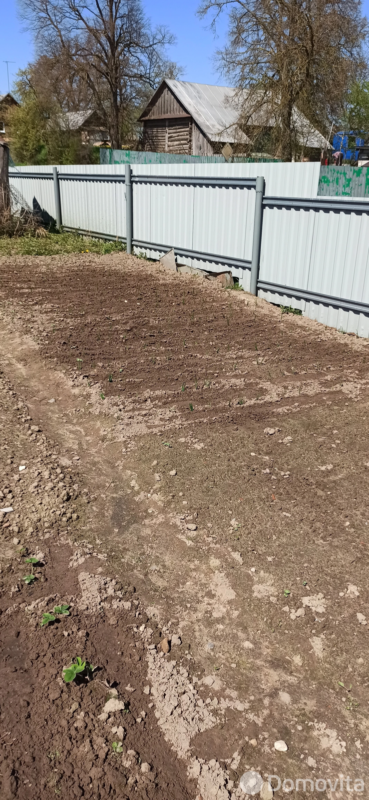 дом, Великая Липа,