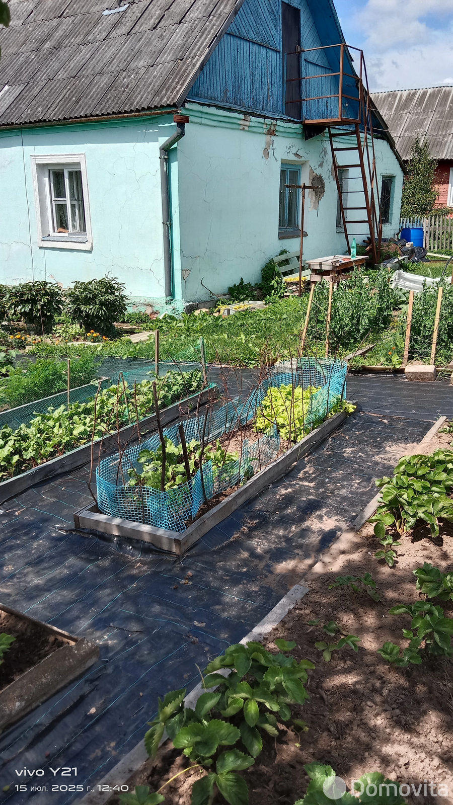 дом, Витебск, ул. 11-я Луческая, д. 31 - лучшее предложение