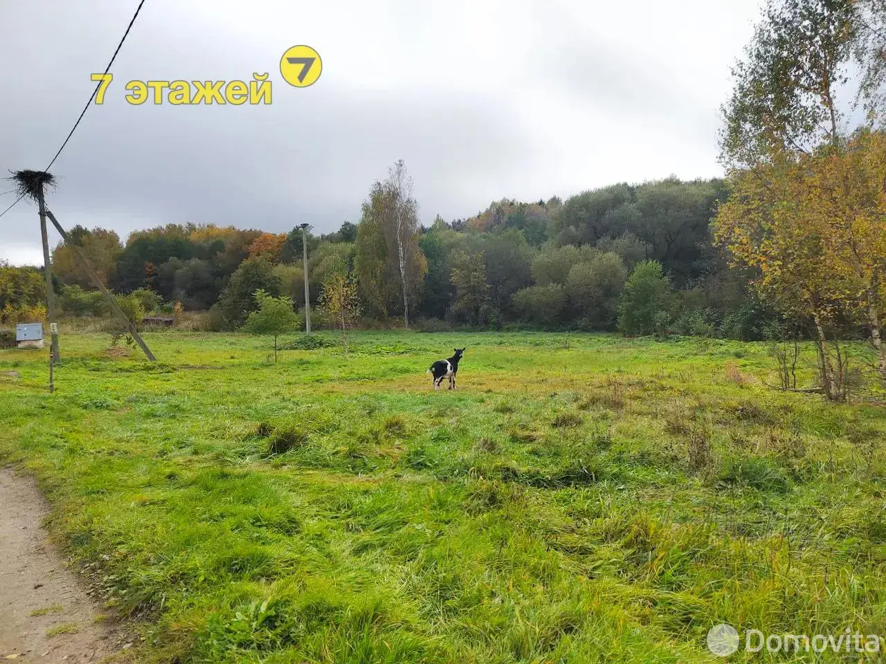 продажа дома, Боярщина, 