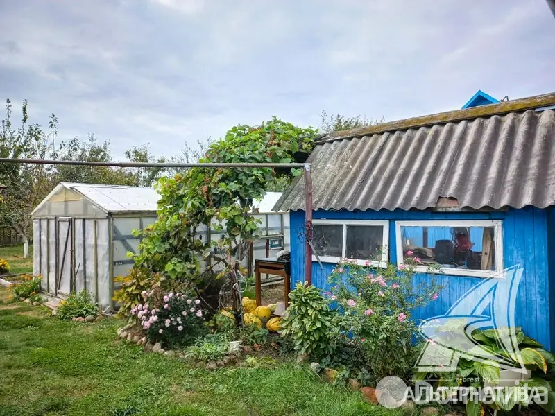 купить дом, Каменец, 