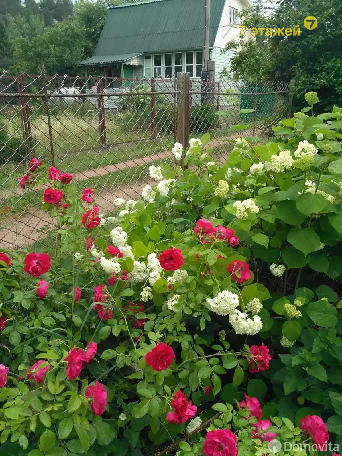 Продажа 1-этажной дачи в Камвольщик Минская область, 10900USD, код 182407 - фото 20