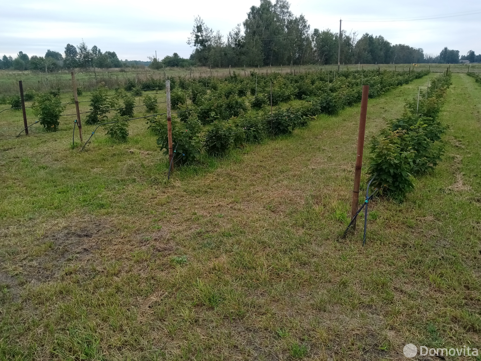 Стоимость продажи коттеджа, Ляховцы, ул. Комсомольская, д. 56