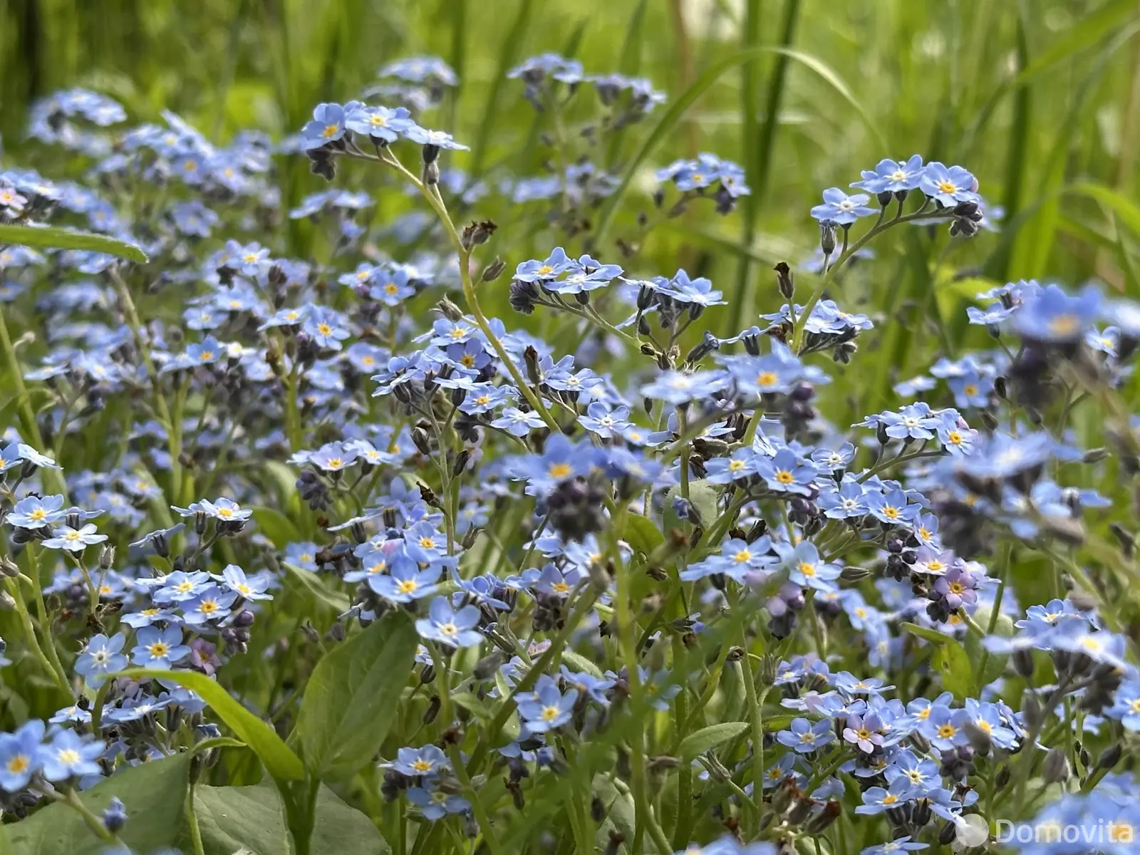 Продажа 2-этажной дачи в НАДЕЖДА-ИНВ Минская область, 26000USD, код 180433 - фото 13