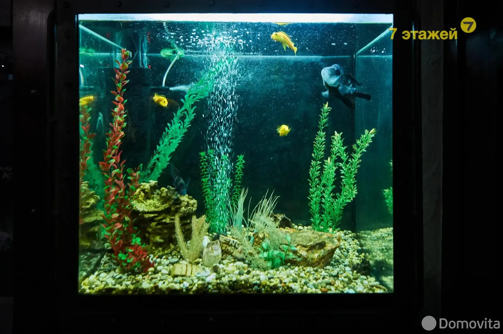 объект сферы услуг, Минск, ул. Могилевская, д. 12/а в Октябрьском районе