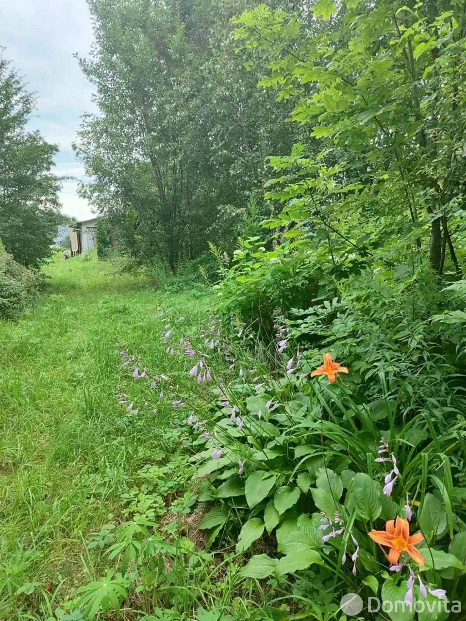 коттедж, Криница, ул. Центральная 