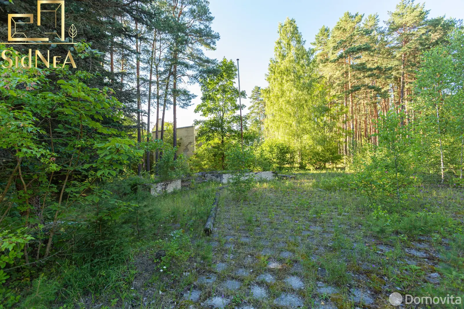 Купить помещение под сферу услуг в Выгоничах, - фото 14