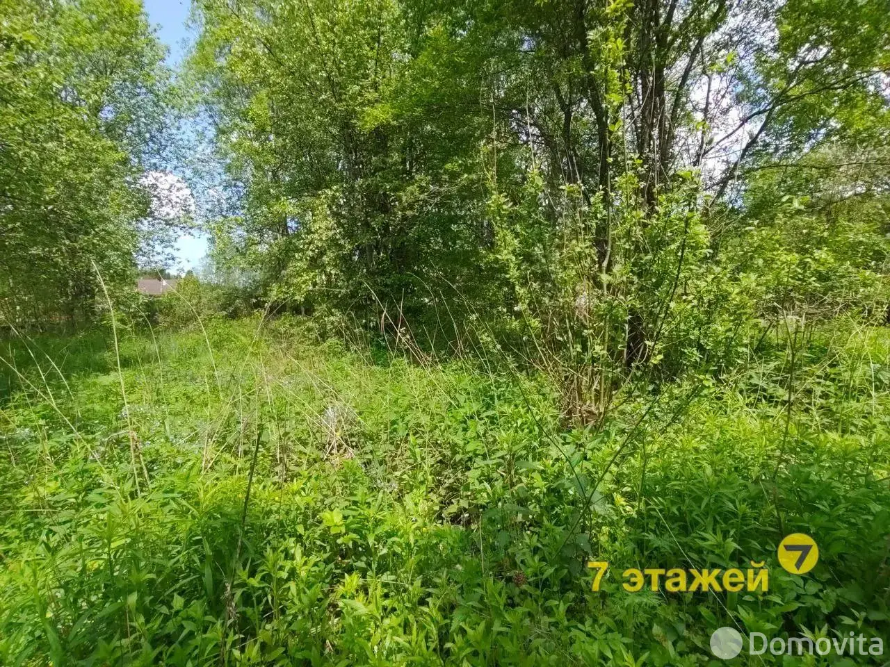 Купить земельный участок, 6.15 соток, ПРОЛЕСКА ЦКБ, Минская область, 7800USD, код 570375 - фото 17