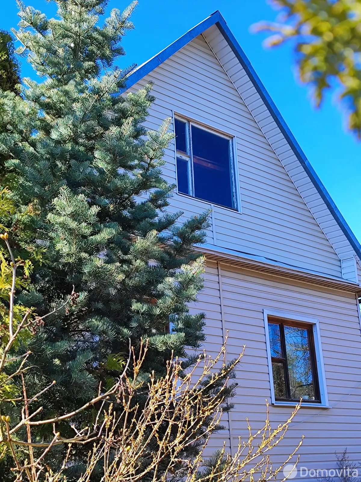 дом, Петровичи, ул. Школьная