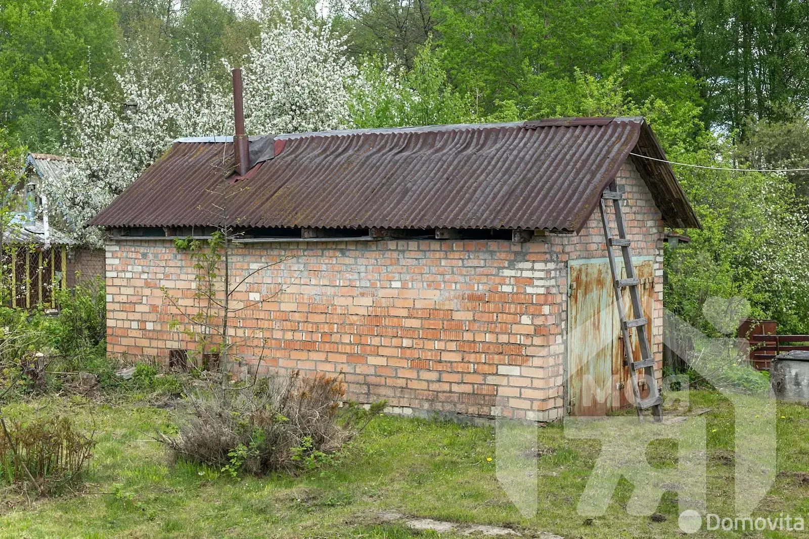 дача, Березовая роща, 