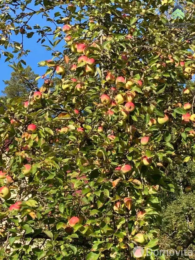 Цена продажи дачи, Урожай,