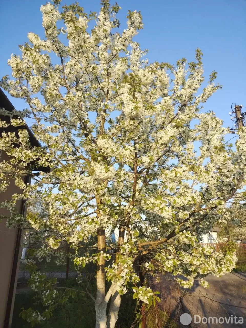 Купить 2-этажную дачу в Узборье Минская область, 60000USD, код 184895 - фото 19