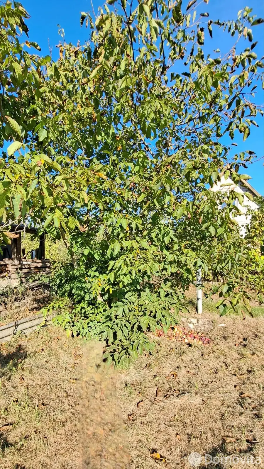 Купить 1-этажную дачу в Криничка Гродненская область, 6700USD, код 179995 - фото 23