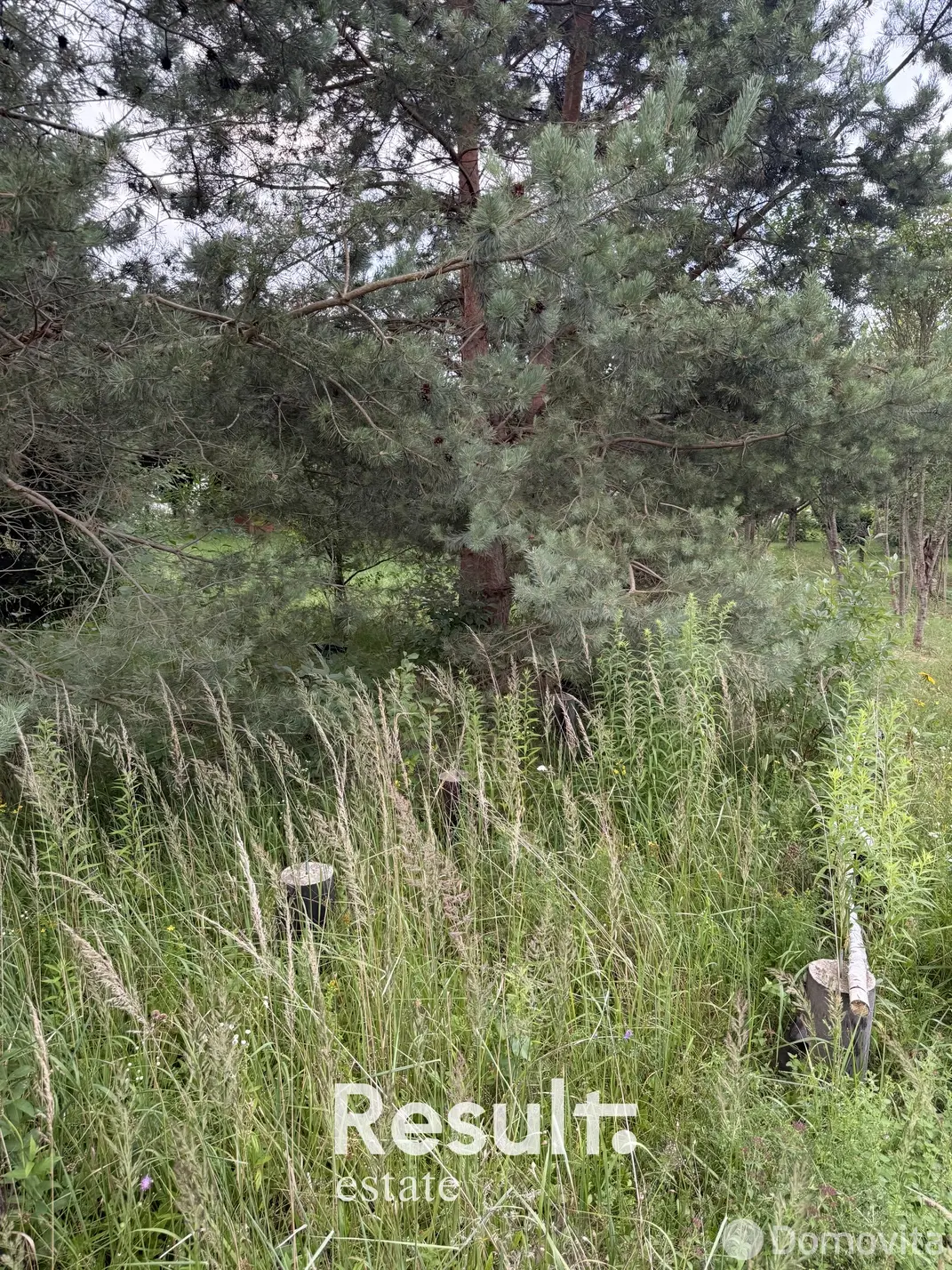 участок, Палетак, 