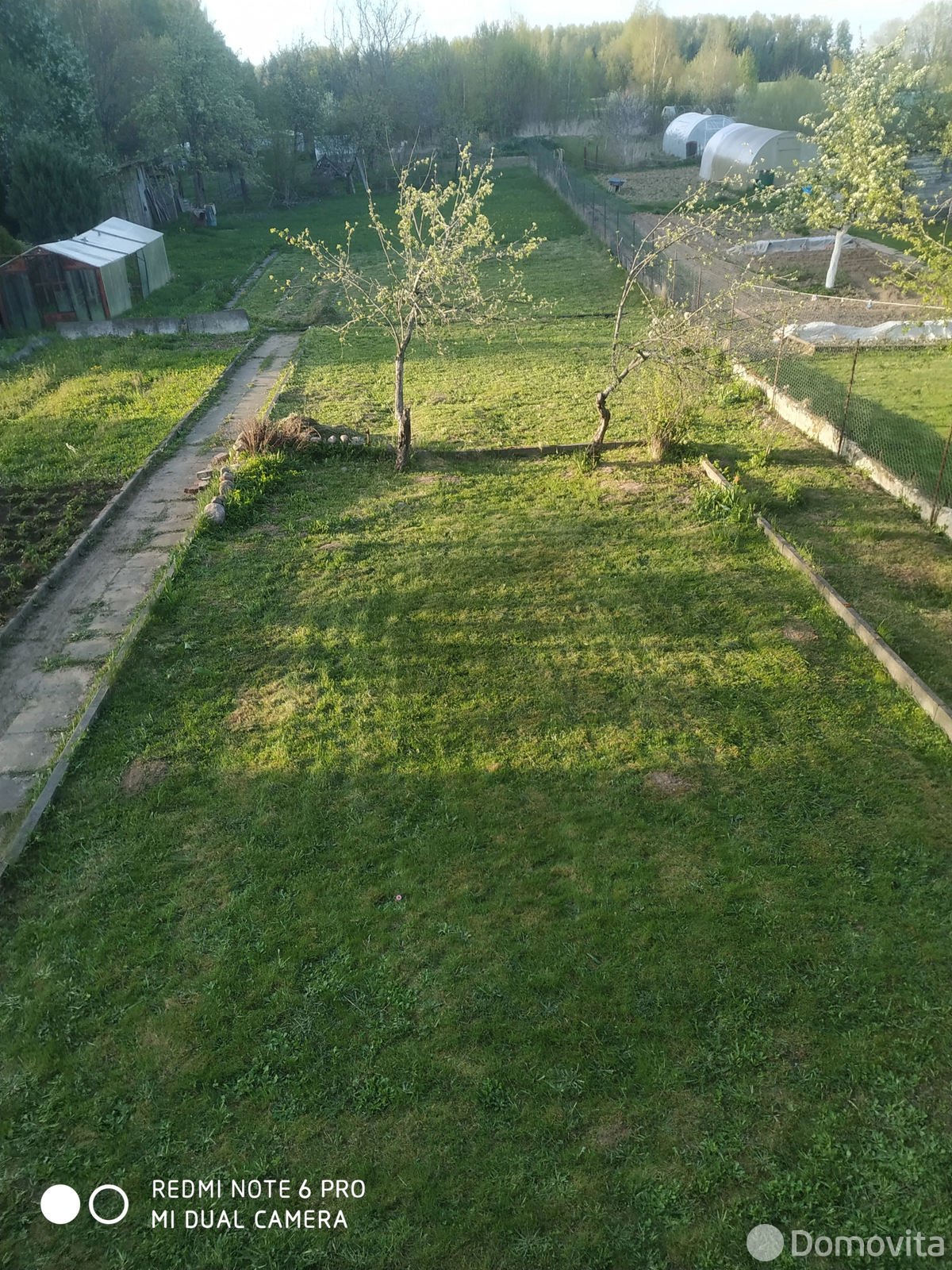 дача, Экономист-2,