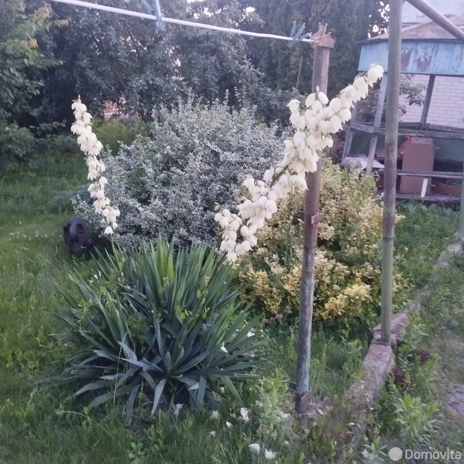Стоимость продажи дачи, Несвиж, ул. Садовая, д. 73