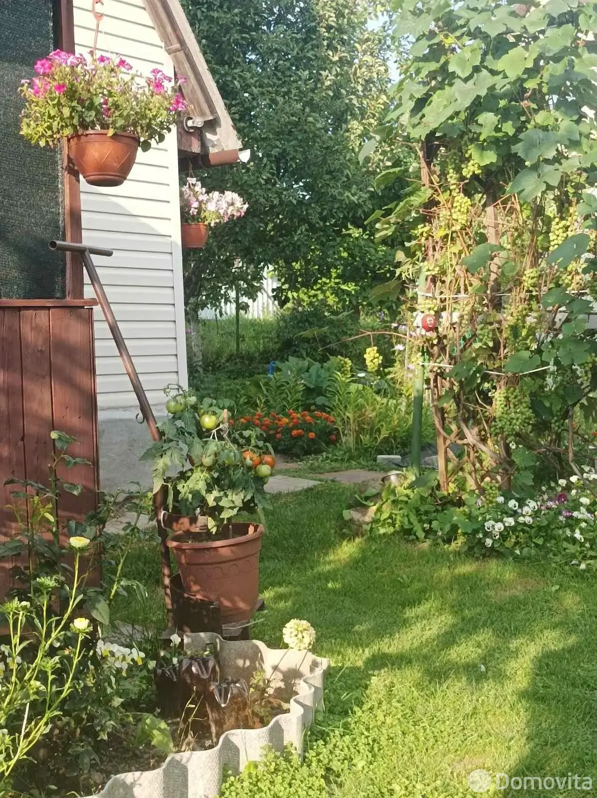 Продажа 1-этажной дачи в Зеленая роща Минская область, 15000USD, код 185283 - фото 15