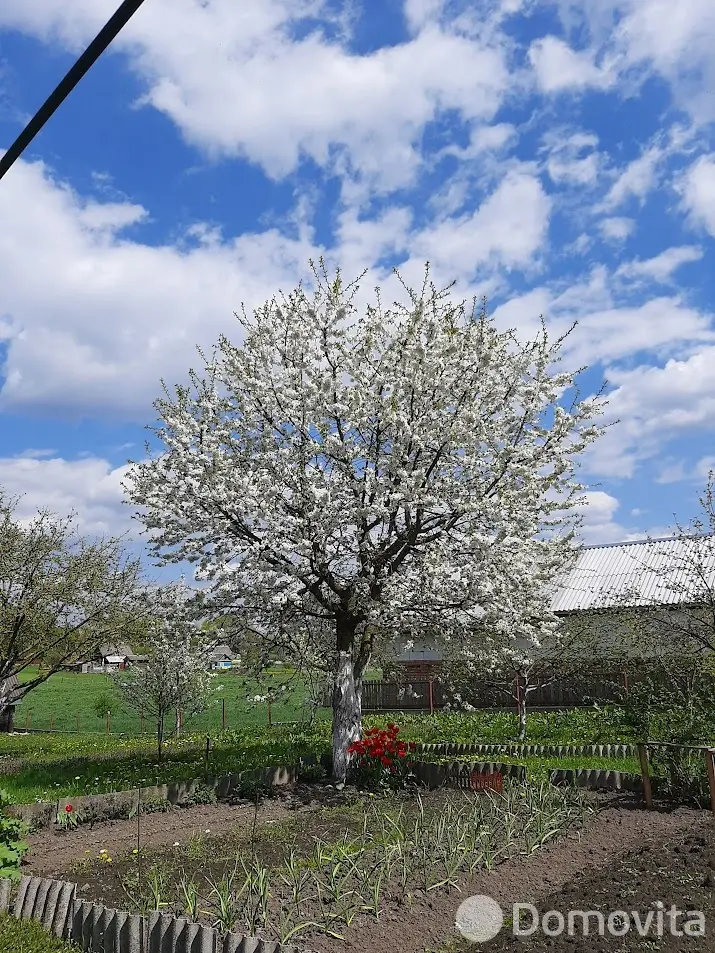 дом, Кнотовщина, ул. Центральная - лучшее предложение