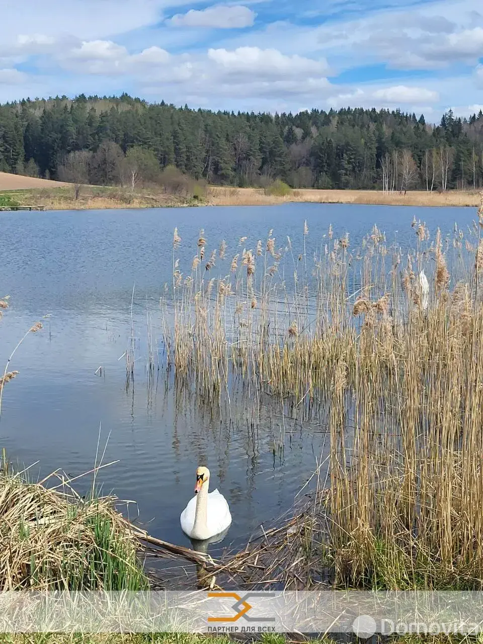 Купить 1-этажную дачу в Факел-Третий век Минская область, 19200USD, код 185653 - фото 32