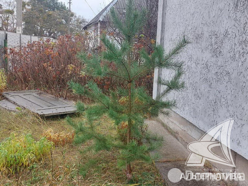 Продажа 2-этажной дачи в Мара Брестская область, 19500USD, код 180374 - фото 11