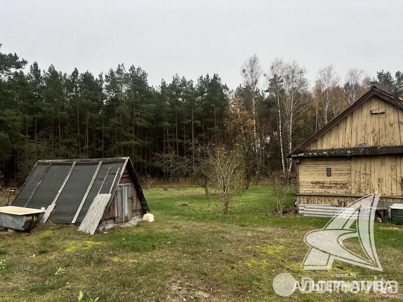 Купить земельный участок, 25 соток, Урожай ОАО Брестхлебопродукт, Брестская область, 57000USD, код 568765 - фото 5