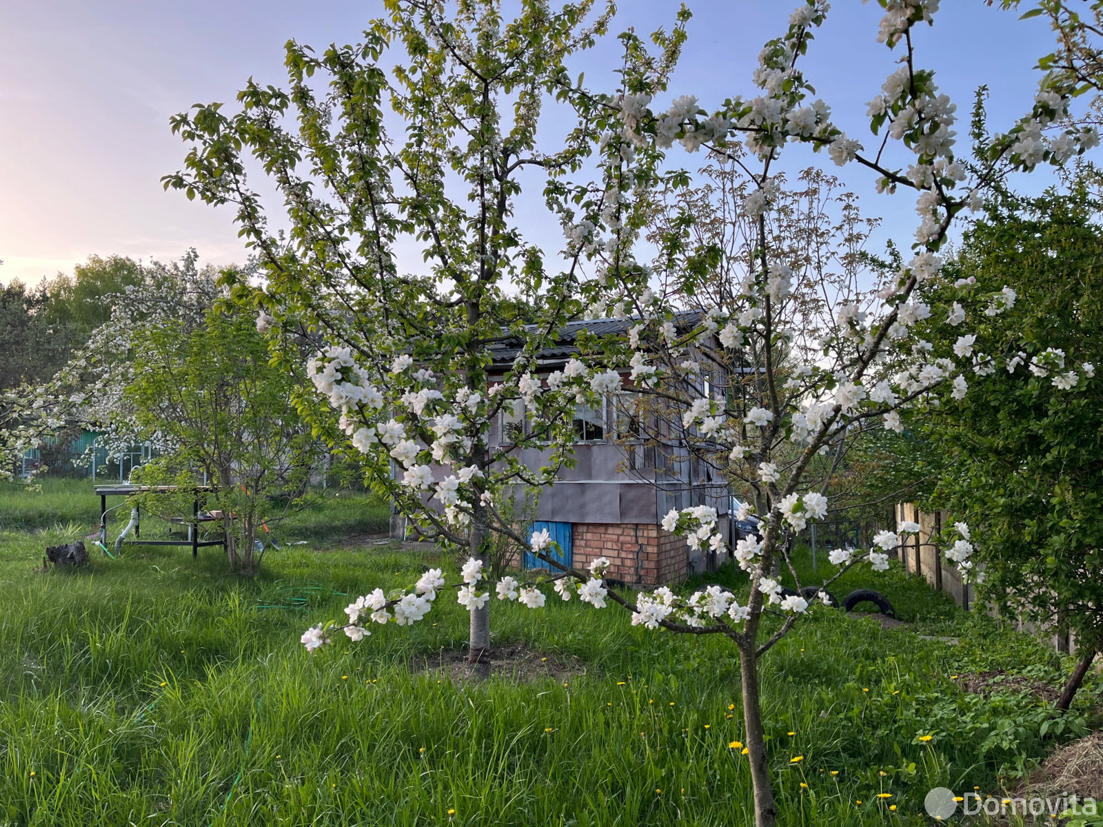 дача, Галург, 