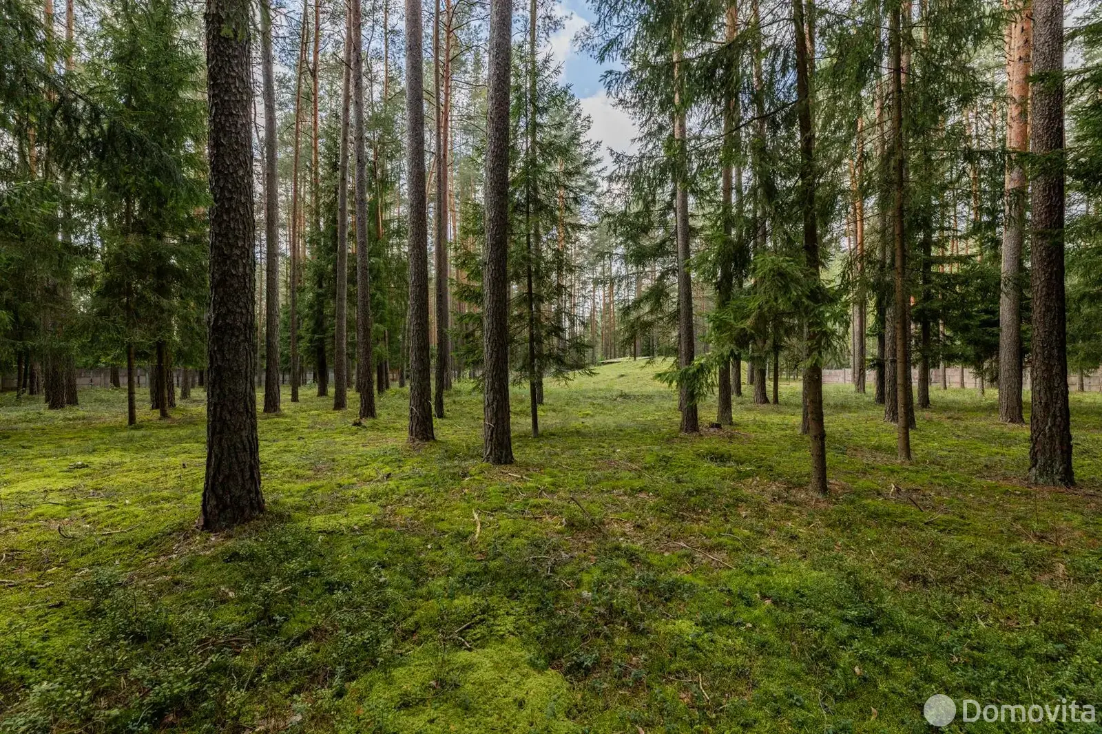 объект сферы услуг, Раков, ул. Боровая, д. 25, стоимость продажи 290 579 р.