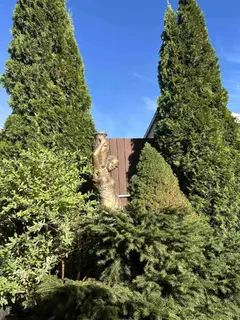 1-этажный коттедж, г. Минск, пр-д Коллективный, д. 4