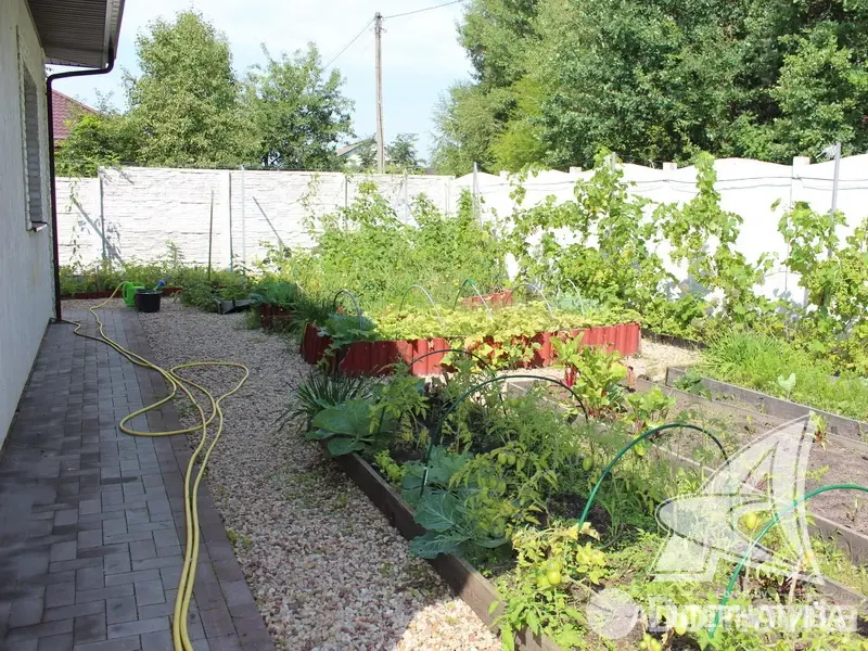 Продажа 1-этажной дачи в Росинка при Брестском ДЭУ-138 Брестская область, 169000USD, код 184897 - фото 34