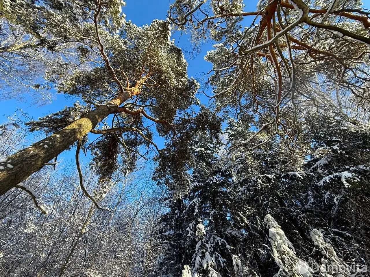Купить земельный участок, 15 соток, Каралино, Минская область, 65000USD, код 571590 - фото 23