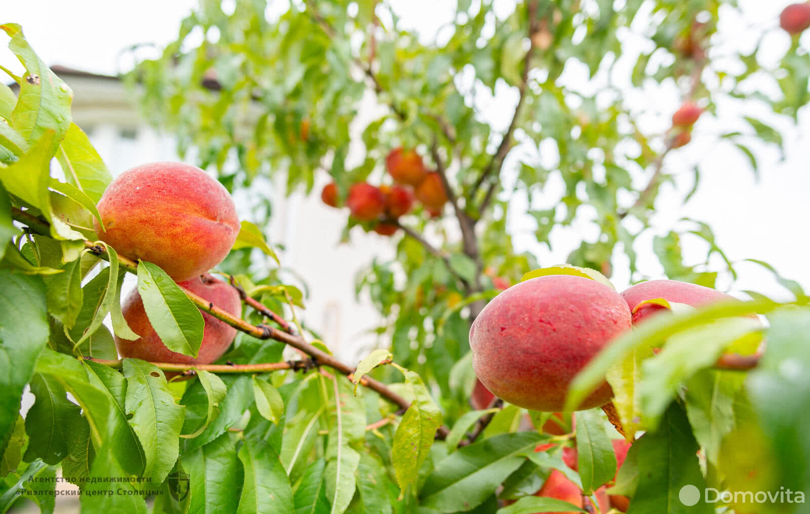 Цена продажи дома, Крупица, ул. Новая