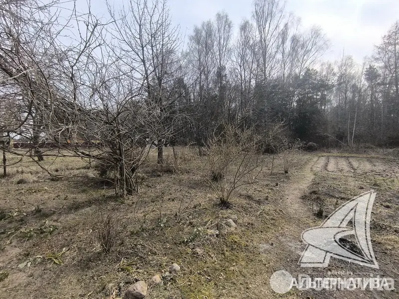 Купить 2-этажную дачу в Буг Жабинковского района Брестская область, 15000EUR, код 181980 - фото 17