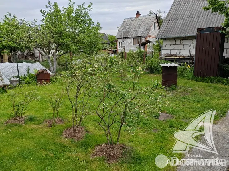 Продажа 2-этажной дачи в Жемчужина-1988 Брестская область, 88000BYN, код 185911 - фото 28