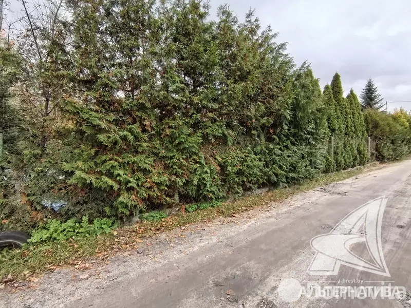 Продажа 1-этажной дачи в Машиностроитель Брестская область, 42000USD, код 184448 - фото 29