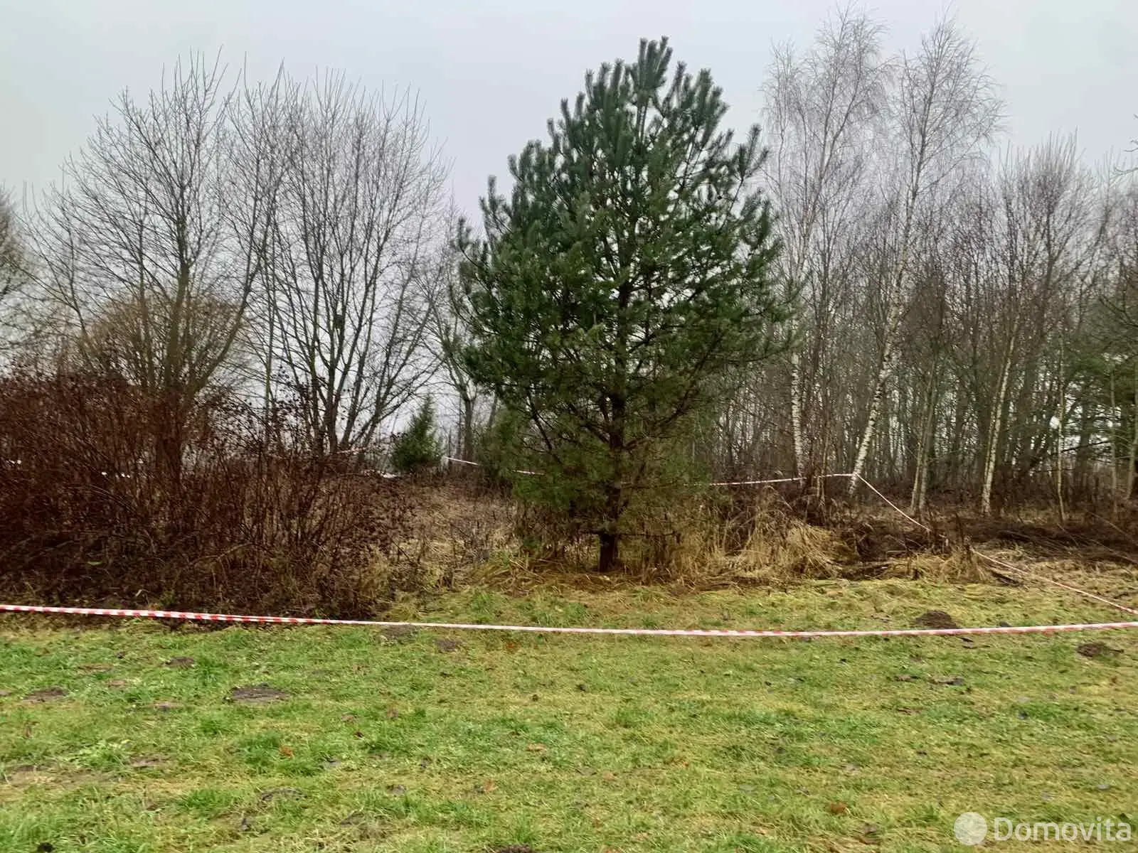 дом, Венделево, ул. Центральная