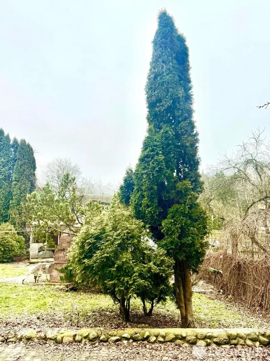 дача, Узгорье-2002,