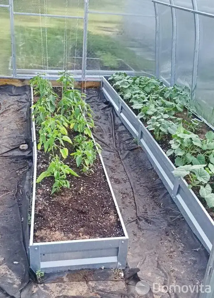 Продажа 2-этажной дачи в Овощник-плюс Минская область, 27500USD, код 185354 - фото 18