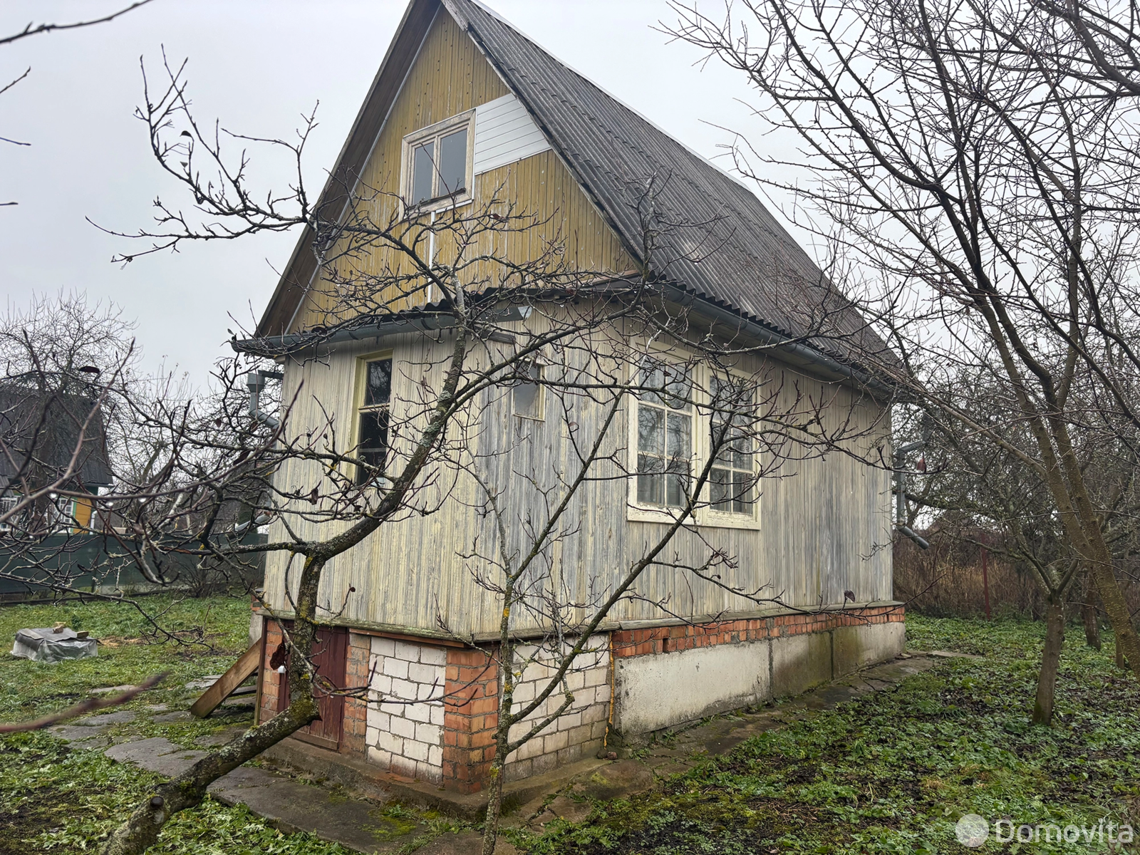 дача, Шарик, 