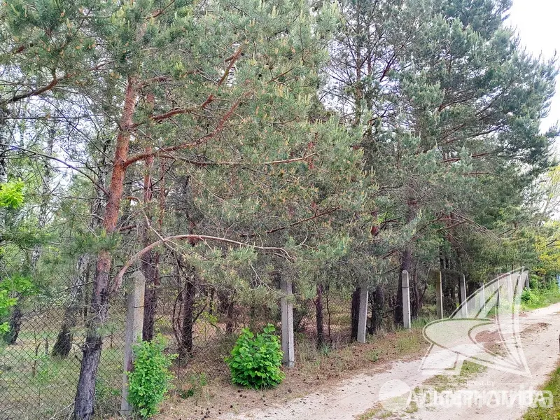Продажа 2-этажной дачи в Жемчужина-1988 Брестская область, 88000BYN, код 185911 - фото 41