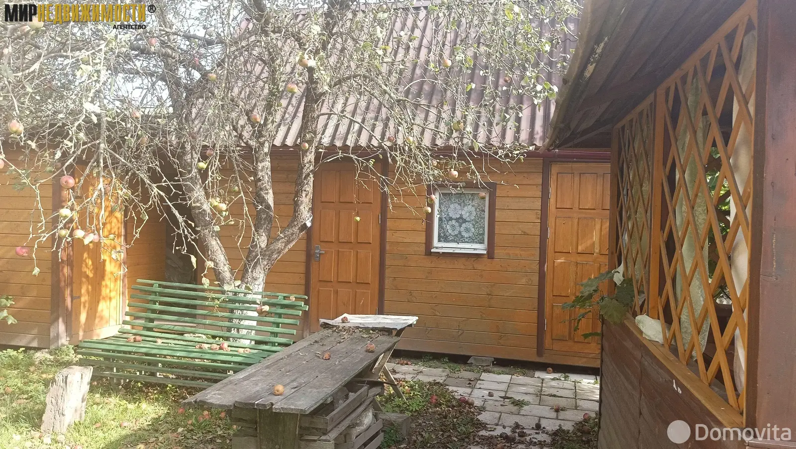 дача, Елочка, 