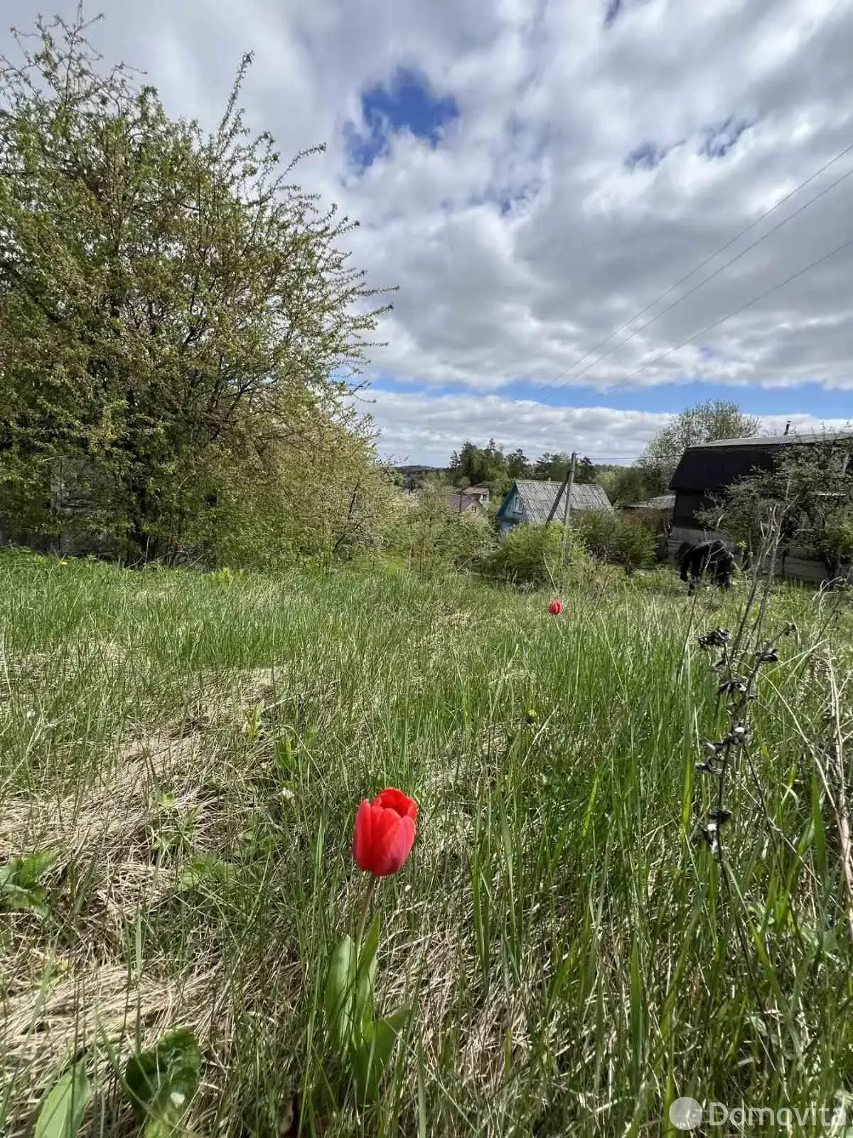 участок, Мичуринец-58, 