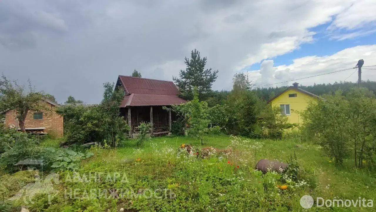 дача, Лесное-Белмедпрепараты, 