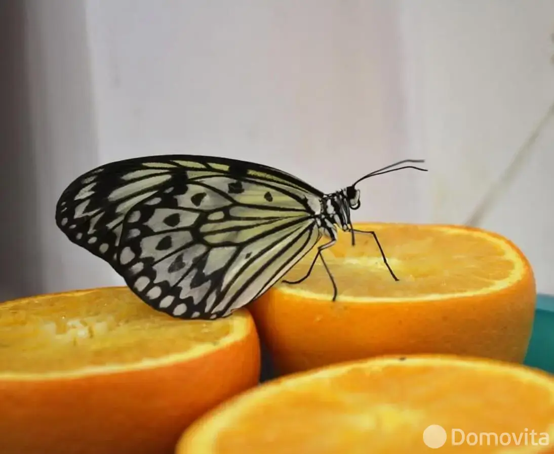 купить торговый объект, Минск, ул. Кирилла Туровского, д. 16