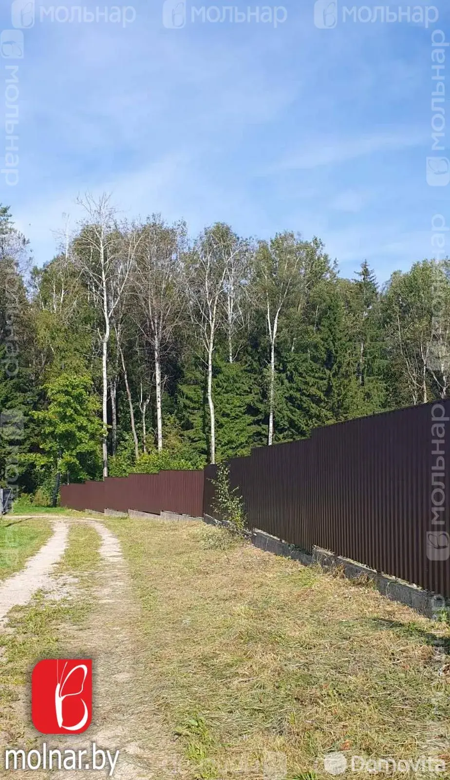 Купить земельный участок, 30 соток, КРУТАЯ ГОРА, Минская область, 32000USD, код 570961 - фото 15