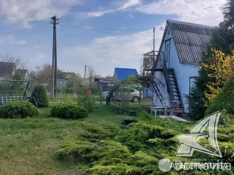 Купить 2-этажную дачу в Строитель Брестская область, 14900USD, код 182405 - фото 14