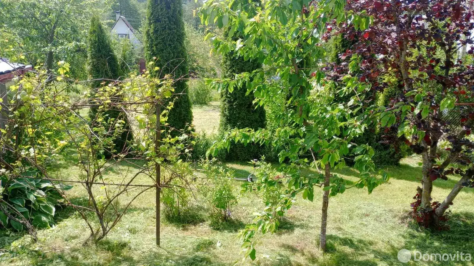 Купить земельный участок, 6.2 соток, Огородник, Минская область, 4500USD, код 569078 - фото 14