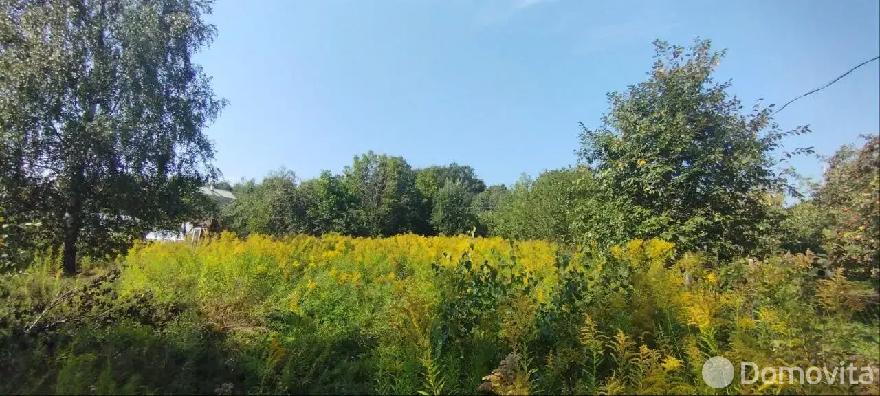 участок, Лесное-90 ,