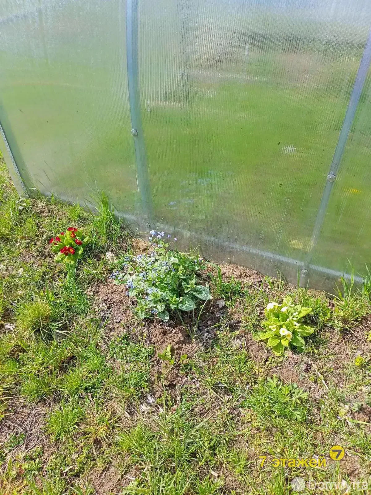 Продажа 1-этажной дачи в Вишневый сад Минская область, 11150USD, код 178393 - фото 42