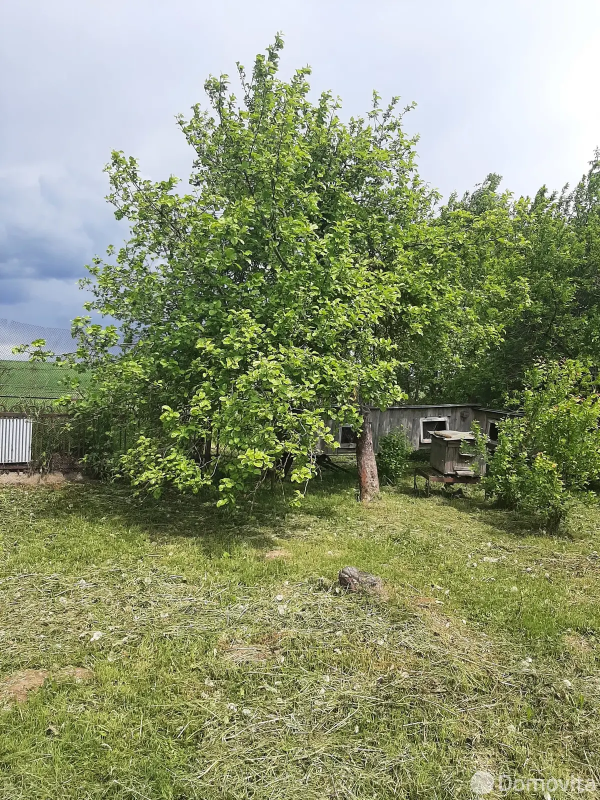 Продажа 2-этажной дачи в Стоматолог Витебская область, 14000USD, код 186121 - фото 33