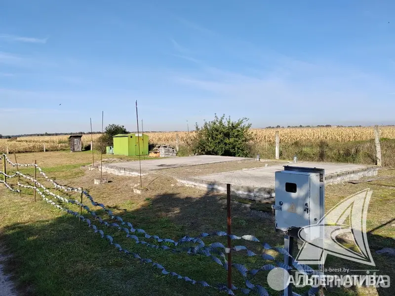 участок, Березка,